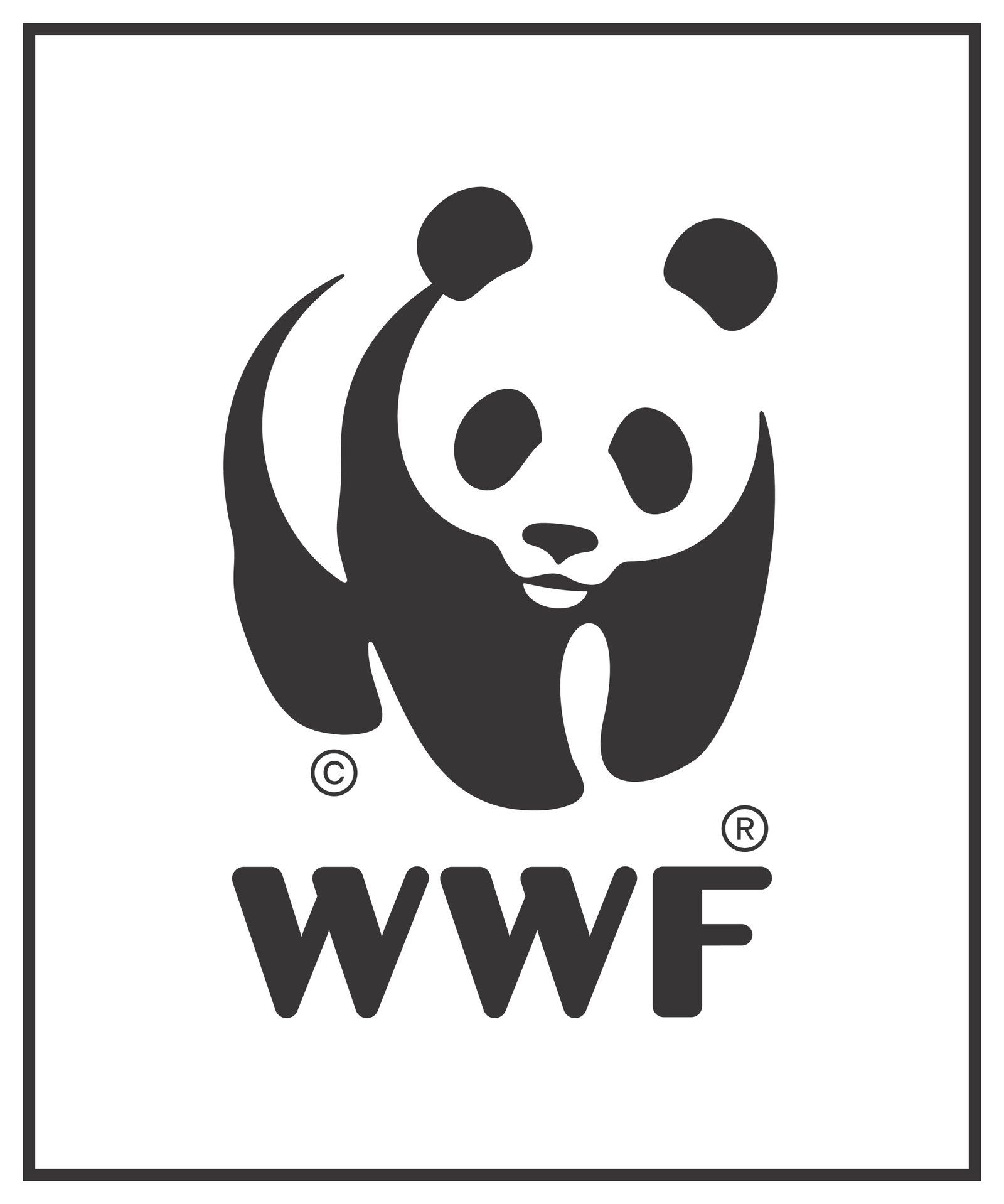 Senior Illegal Wildlife Trade Officer